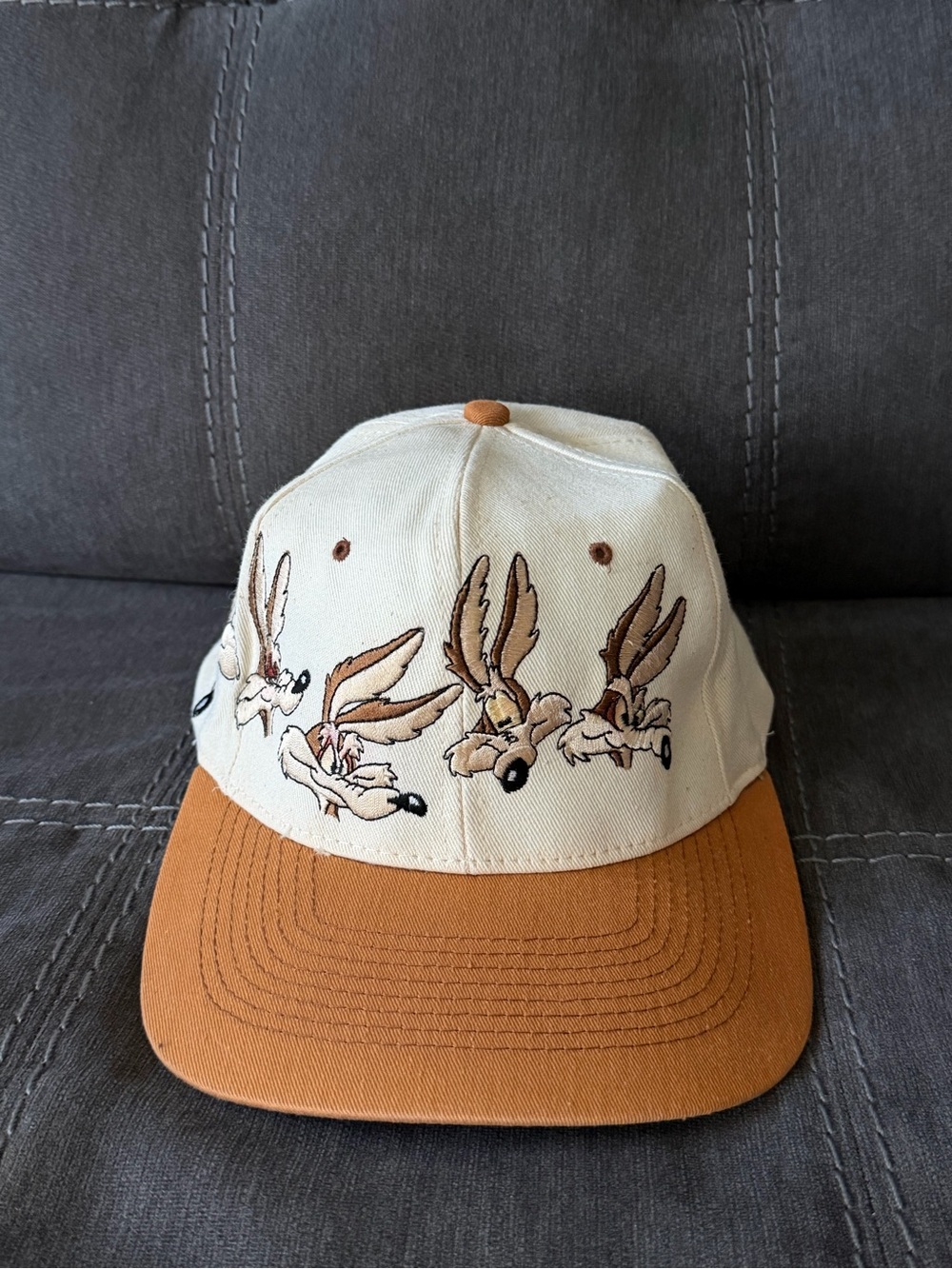 Looney Tunes Wile E. Coyote Vintage 1994 Snapback Cap / Hat